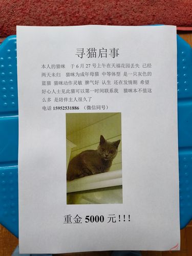 赏赚猫悬赏