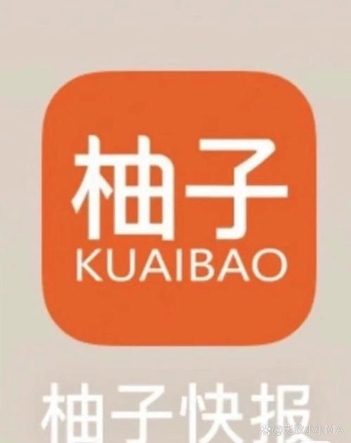 柚子快报安装图标