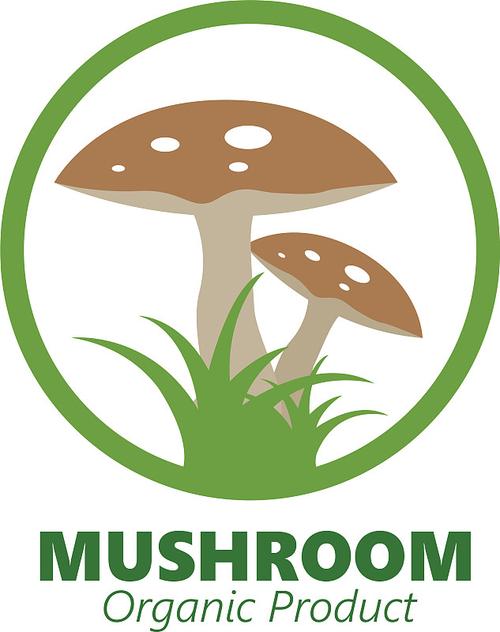 蘑菇世界缩略图