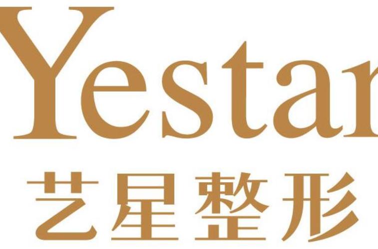 艺星极速版v10图标