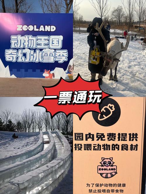 冰雪动物园赢红包