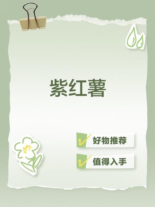 紫薯短视频安卓版截图