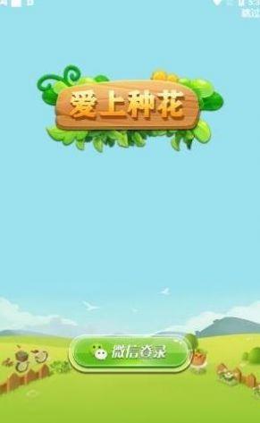 天天种花红包版2022年新版游戏