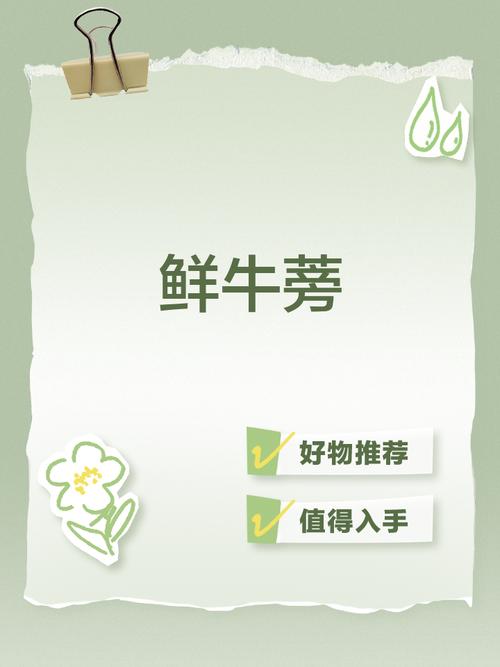 牛蒡悬赏任务赚钱