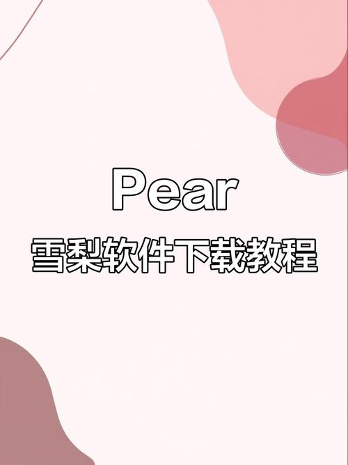 pear雪梨官网截图