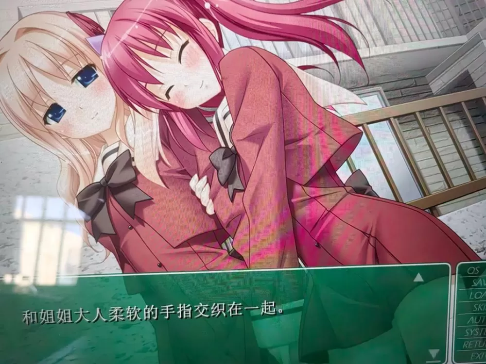 galgame花吻直装安装包缩略图