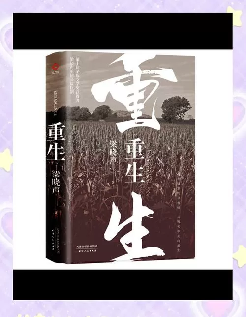 重生韩国政治类小说