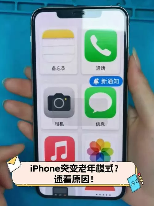 苹果有没有老年模式截图