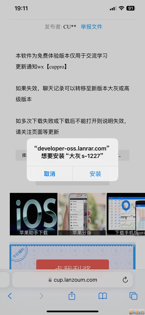 大灰微信分身版苹果免费下载截图
