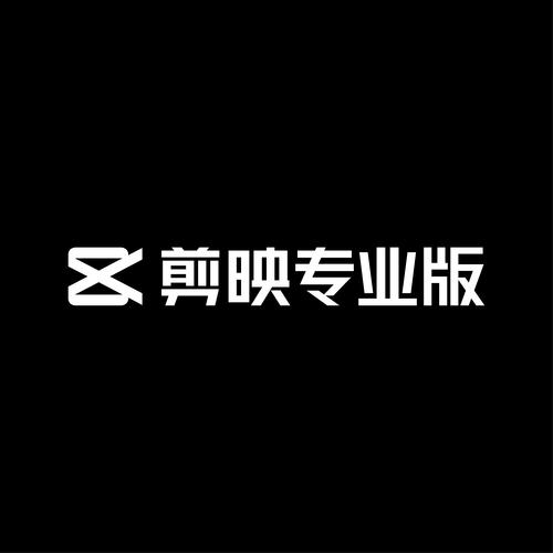 剪映专业版截图