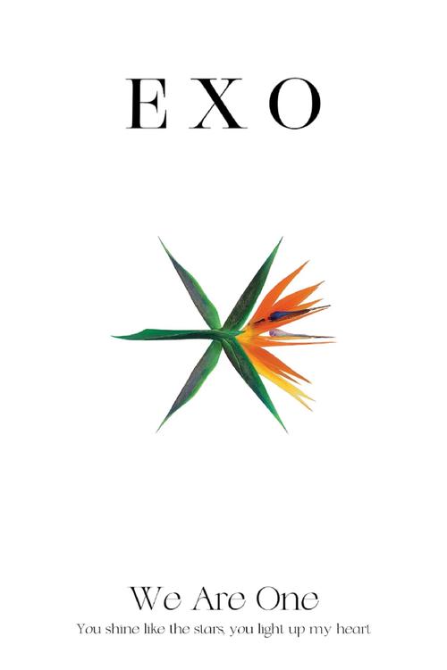 口袋exo截图