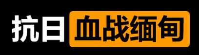 抗日血战缅甸截图