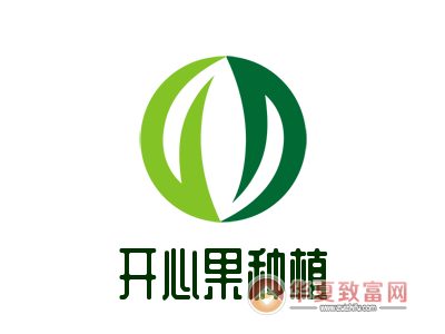 开心果树截图