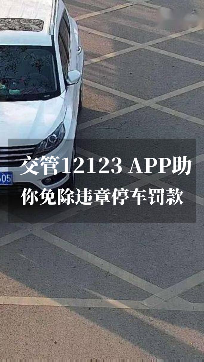 123123违章车辆查询截图