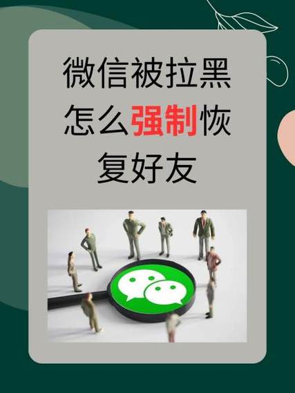 微信被拉黑强制恢复免费软件截图