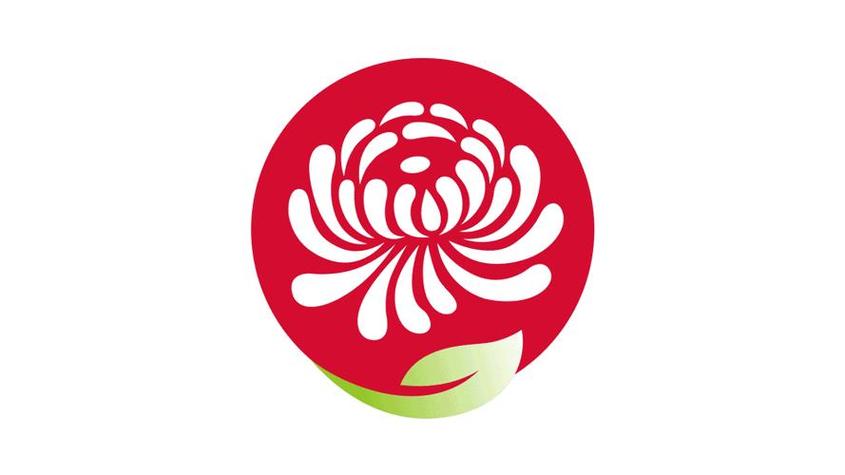 菊花直播截图