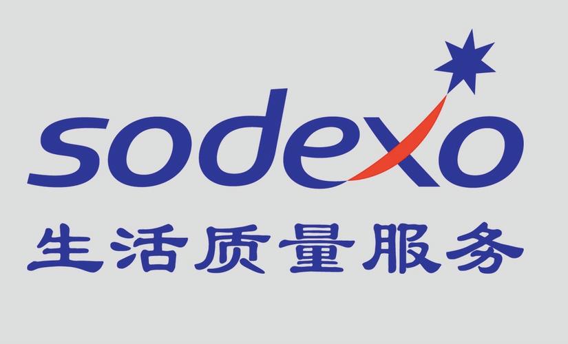 索迪斯截图