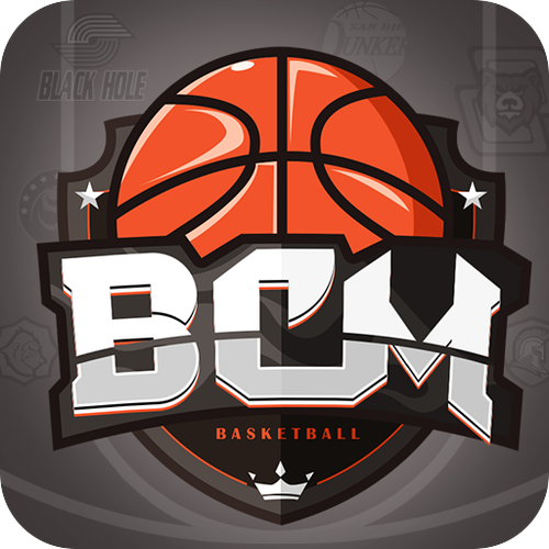 篮球经理2024中文版(BasketManager2024)截图
