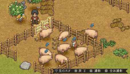 PSP《欢迎来到绵羊村》狩猎攻略截图