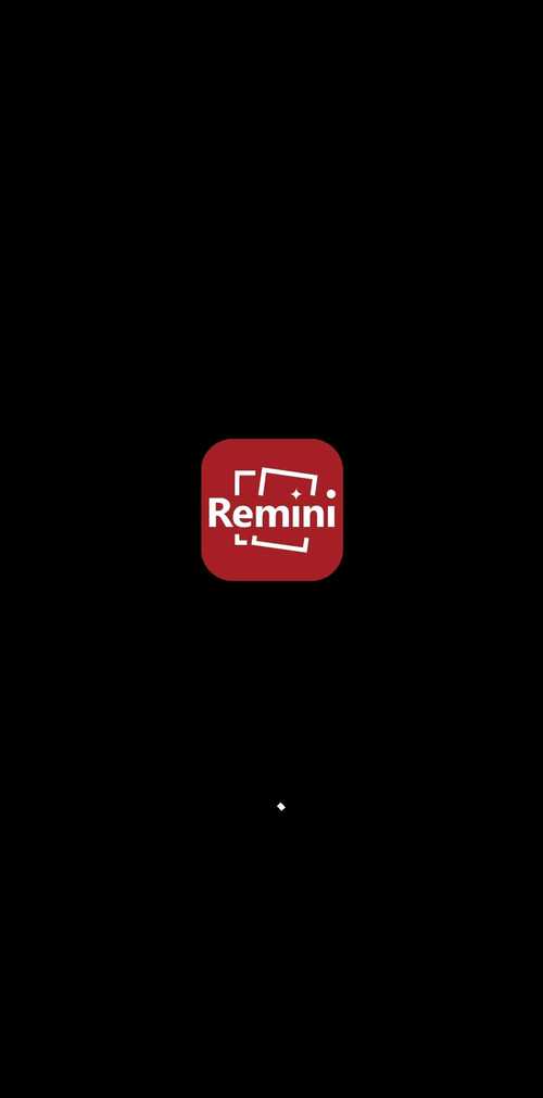 remini中文版app截图
