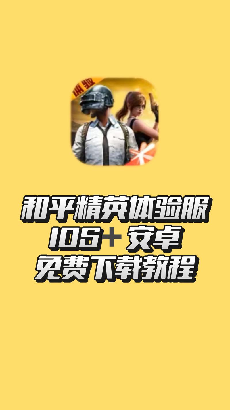 和平精英体验服下载入口截图