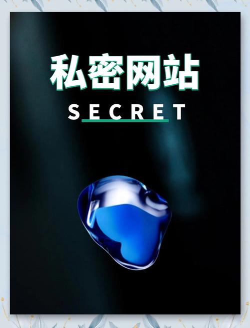 秘密网站截图