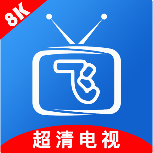 小飞电视纯净版安装截图