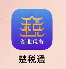 楚税通橙色版截图