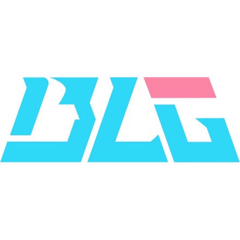 bl游戏无广告安装截图