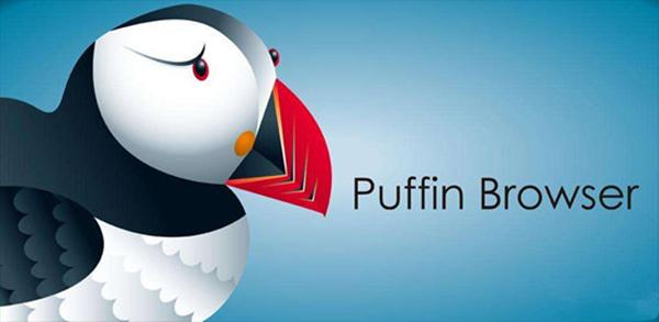 puffin浏览器最新版缩略图