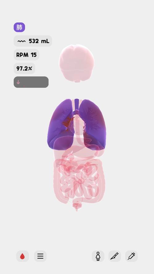 生命life安卓版中文最新版生命life汉化截图