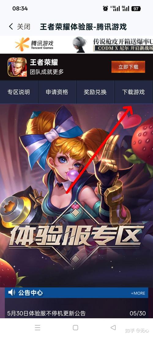 王者荣耀前瞻版体验服官方入口污版截图