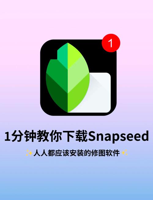 Snapseed中文完整版2024安装截图