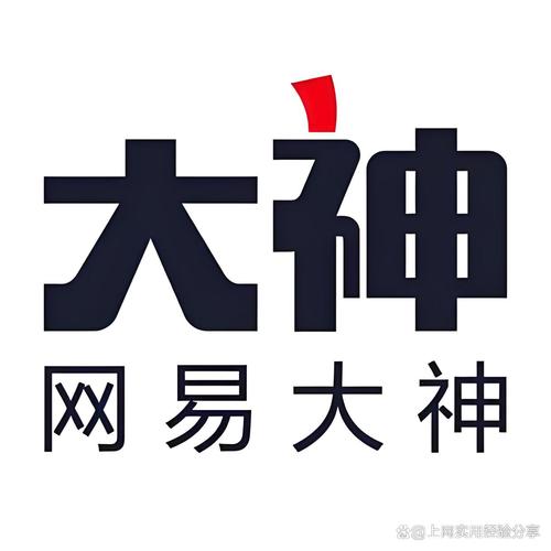 网易大神32位版本安装截图