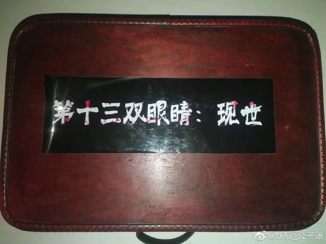 第十三双眼睛截图