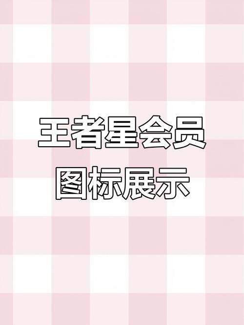 王者星会员截图