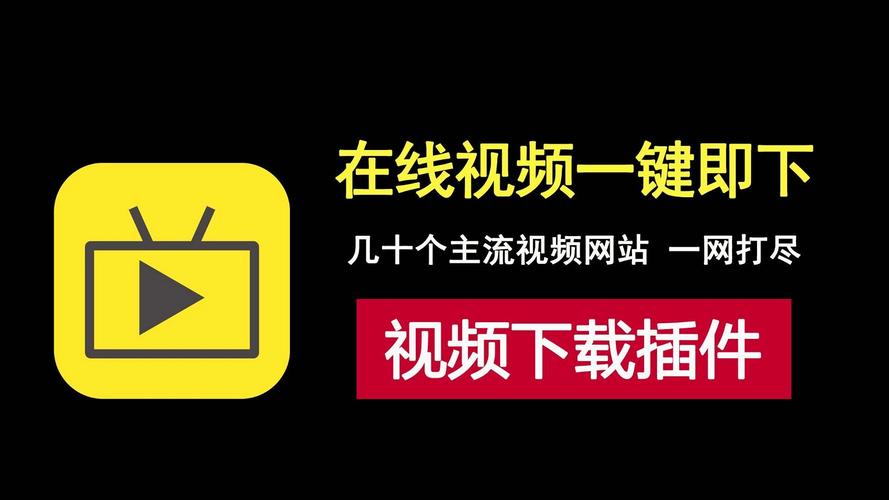 视频插件截图