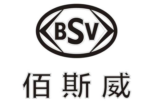 bsv截图