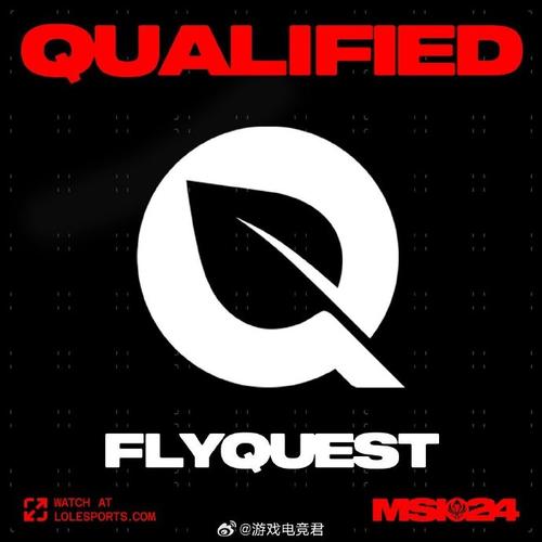 FLYMUSIC截图