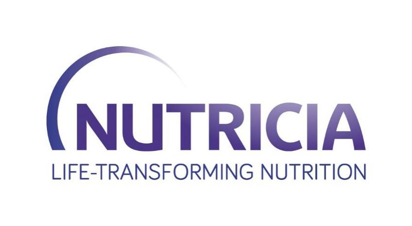nuttertools页面版截图