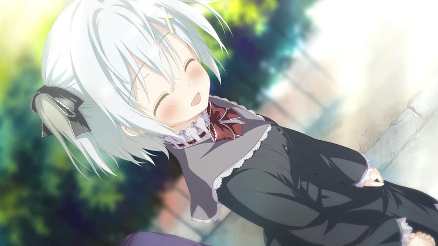 galgame《星辰恋曲的白色永恒白色星之梦》游戏介绍截图