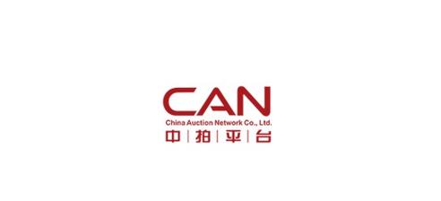 中拍网截图