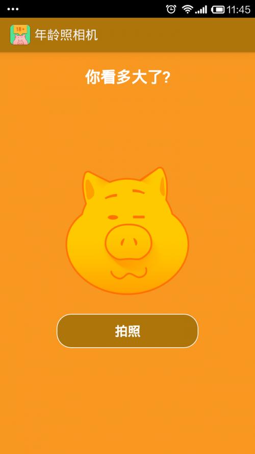 拍照测年龄截图