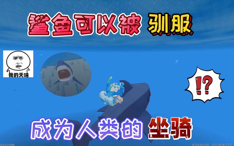 迷你世界海洋版本怎么驯服鲨鱼当坐骑截图