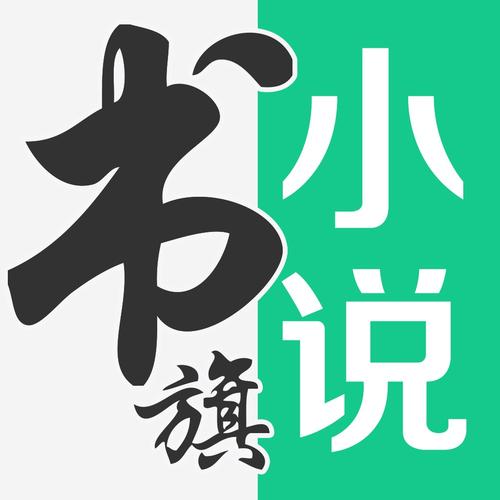 书旗小说纯净版截图