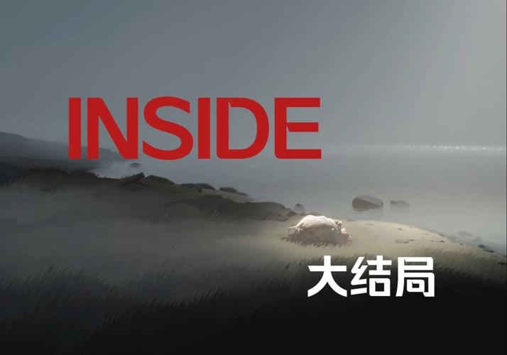 inside攻略截图