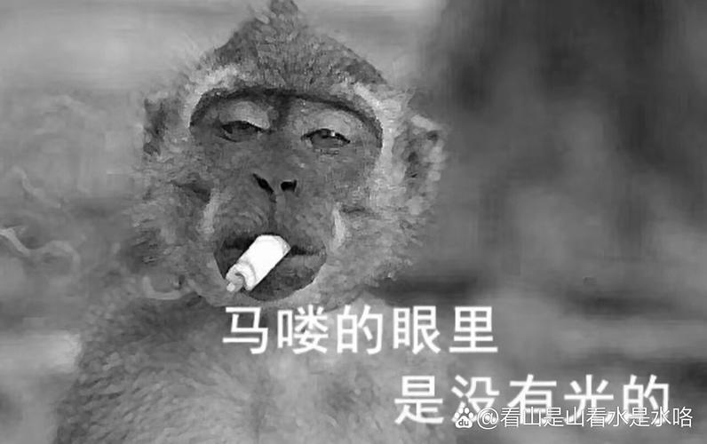 吗喽是什么意思 网络用语吗喽的意思截图