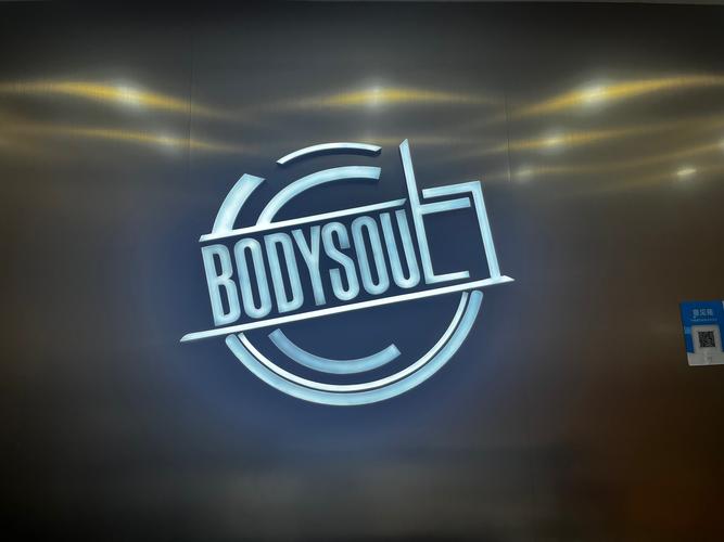 bodyvisualizer安卓版截图