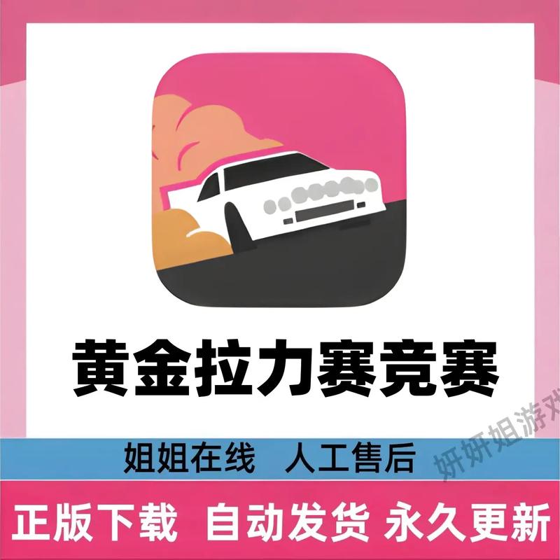 黄金拉力赛截图