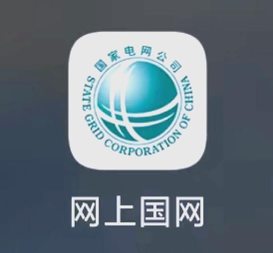 网上国网app官方下载安装截图